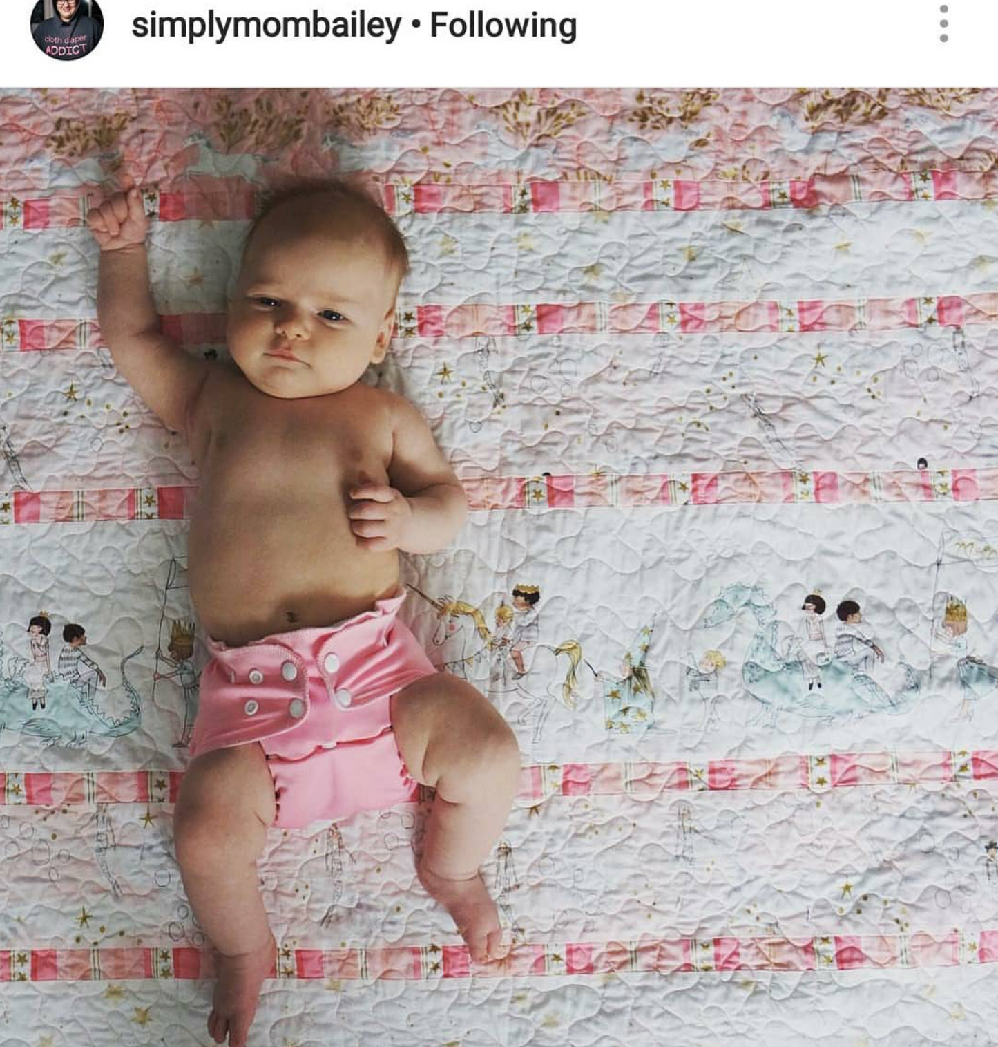 One-Size Cloth Pocket Diaper | Dragon