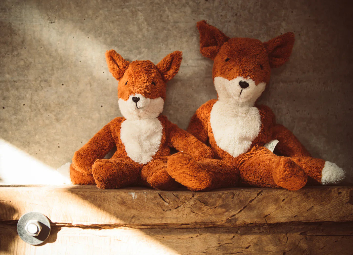 Big Floppy Senger Fox