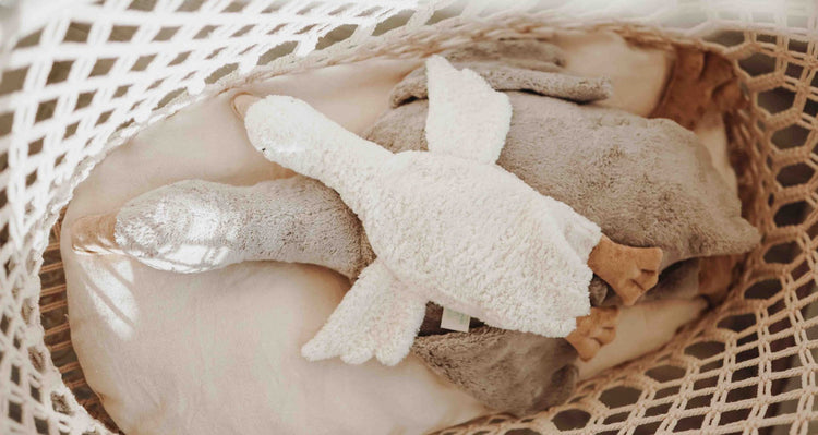 Toys & Stuffies