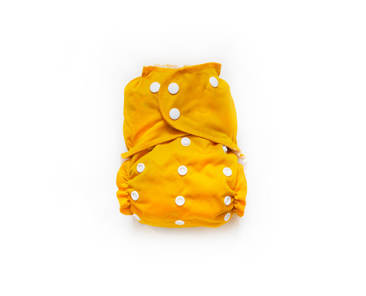 Toddler Cloth Pocket Diaper + Bamboo Trifold | Harvest