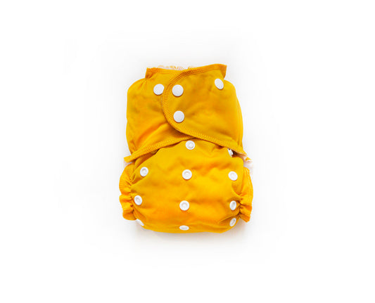 Joyo Roy Baby Cloth Pocket Reusable Diapers 2pieces +2 Bamboo Inserts @  Best Price Online
