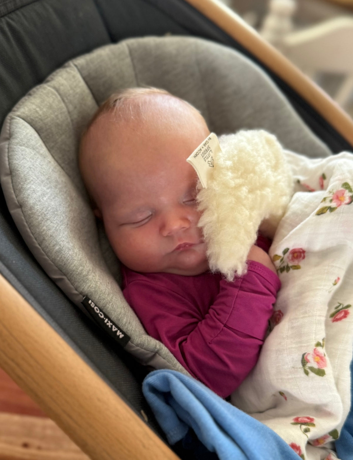 Wool Sherpa Pacifier Lovey | Moon