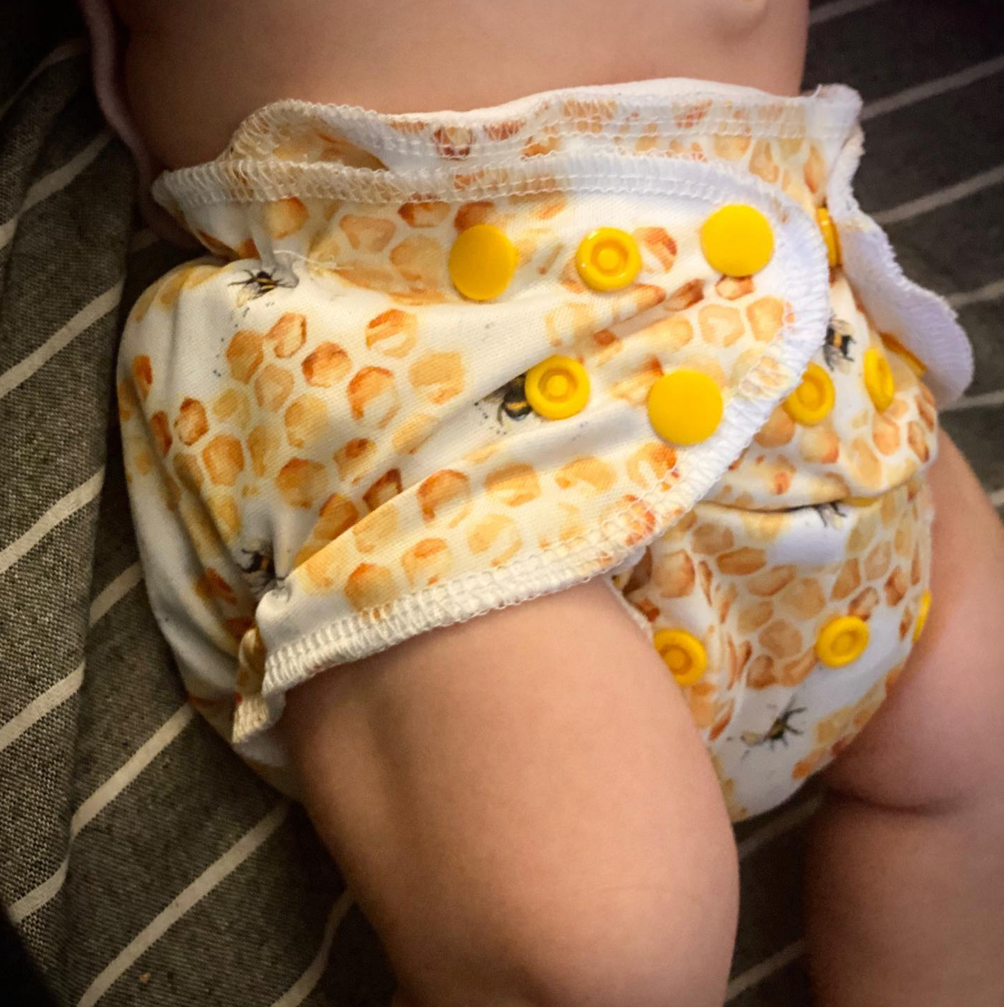 One-Size Cloth Pocket Diaper + Bamboo Trifold | Spruce