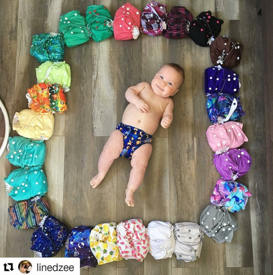 One-Size Cloth Pocket Diaper | Raspberry