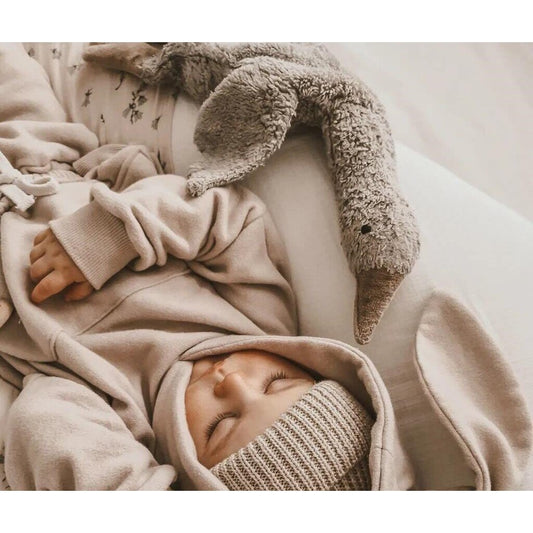 Small Grey Cuddly Senger Goose