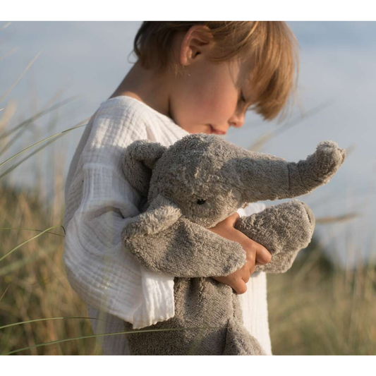 Small Cuddly Senger Elephant