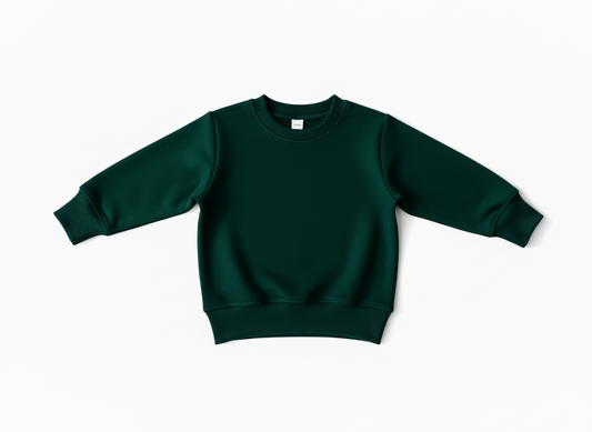 Baby / Toddler / Kids Merino Wool Long Sleeved Jersey Crew Pullover | Pine