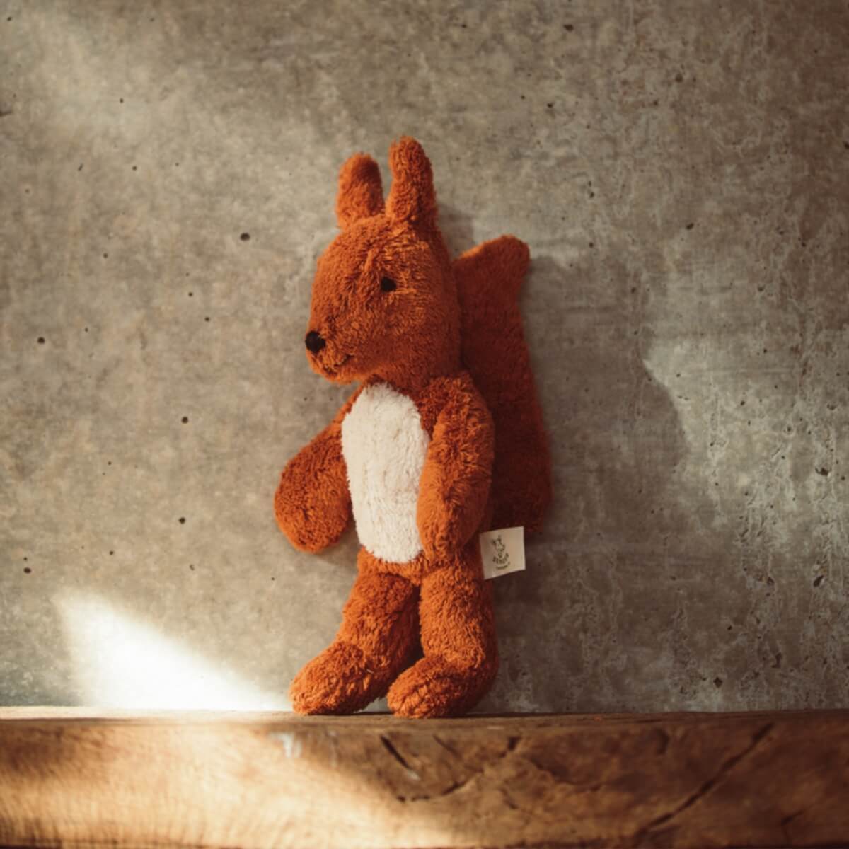 Small Floppy Senger Squirrel